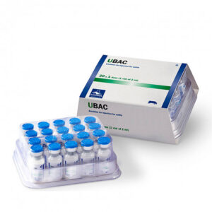 UBAC