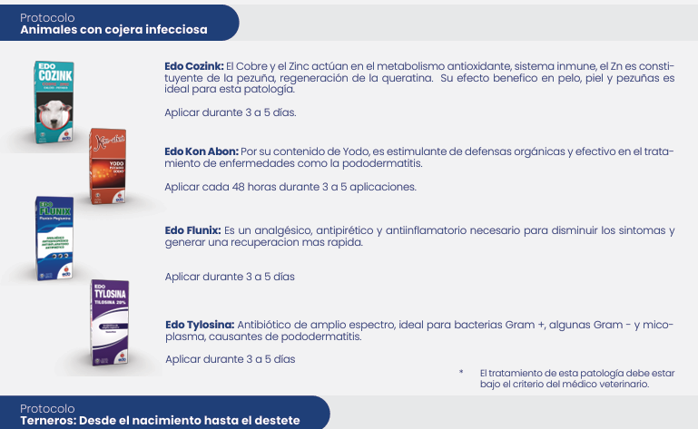 Edo Cozink | إيدو كوزينك