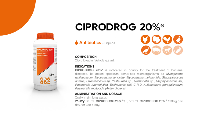 CIPRODROG 20% | سيبرو دروج 20%