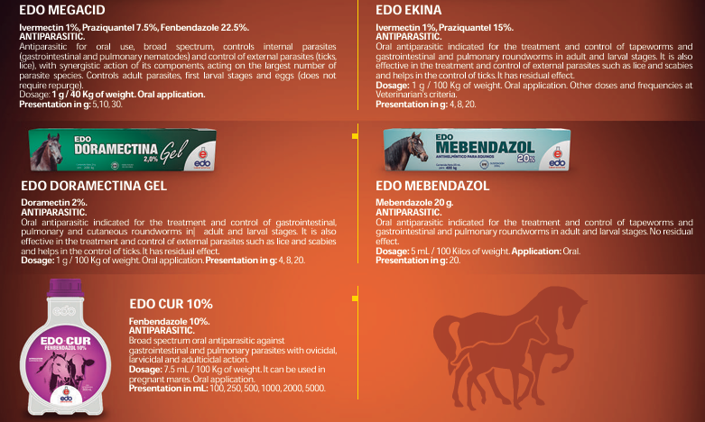 Edo Megacid | إيدو ميغاسيد