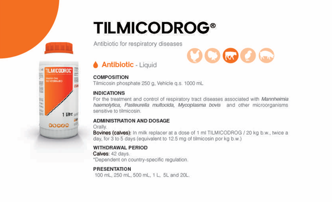 TILMICODROG | تيلميكودروج