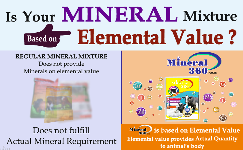 Mineral 360 Powder | مسحوق المعادن 360