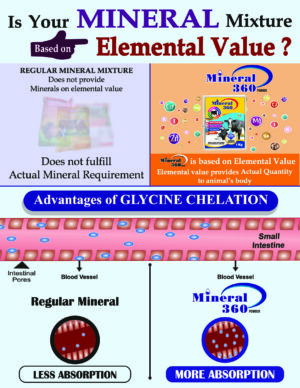 Elemental Value Mineral Supplement for Livestock